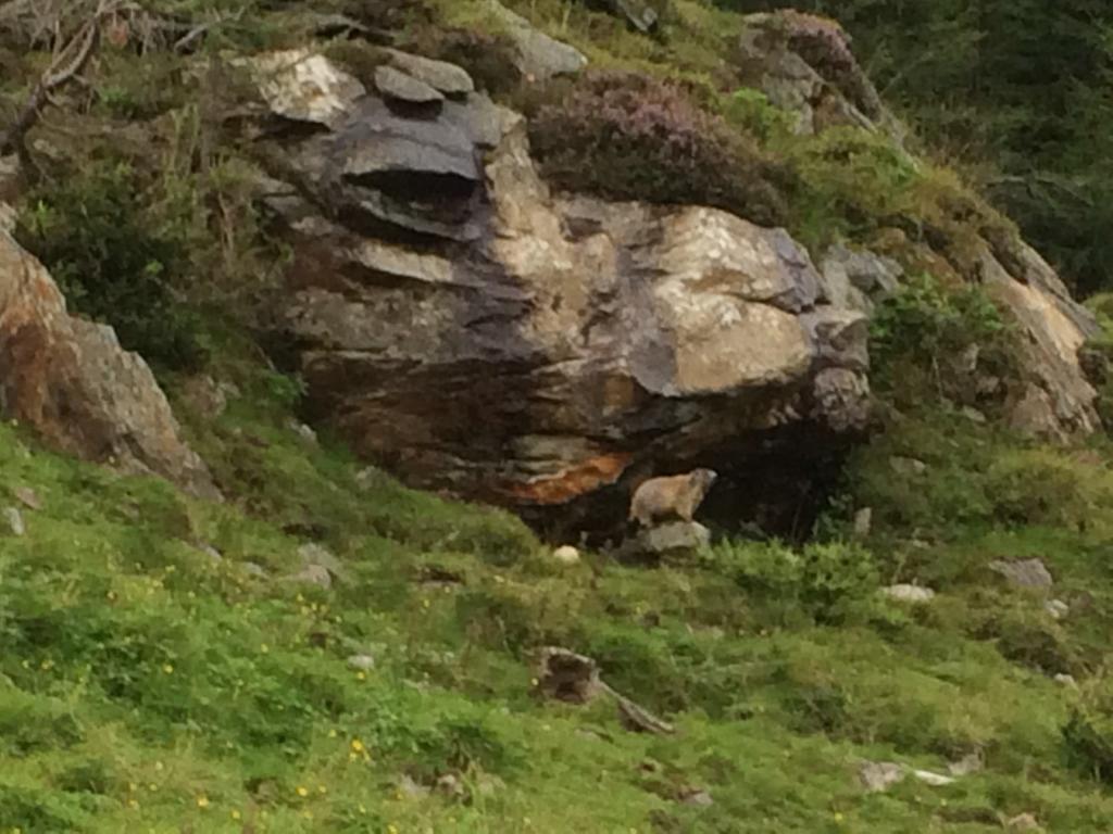 Berghaus Aussergschloess Matrei in Osttirol Exteriér fotografie